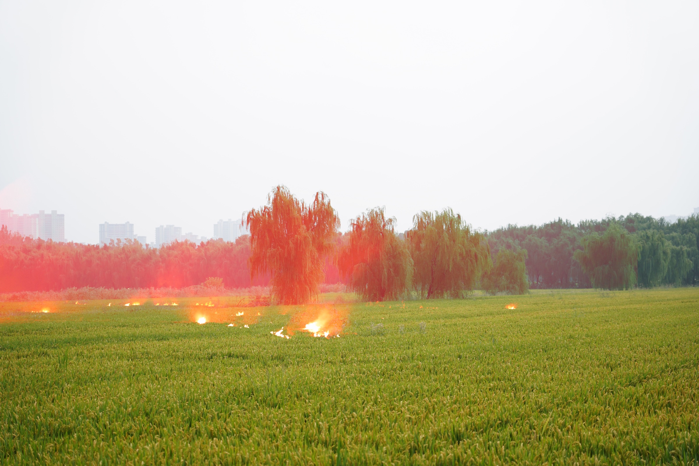 The Burning Prairie, image 16