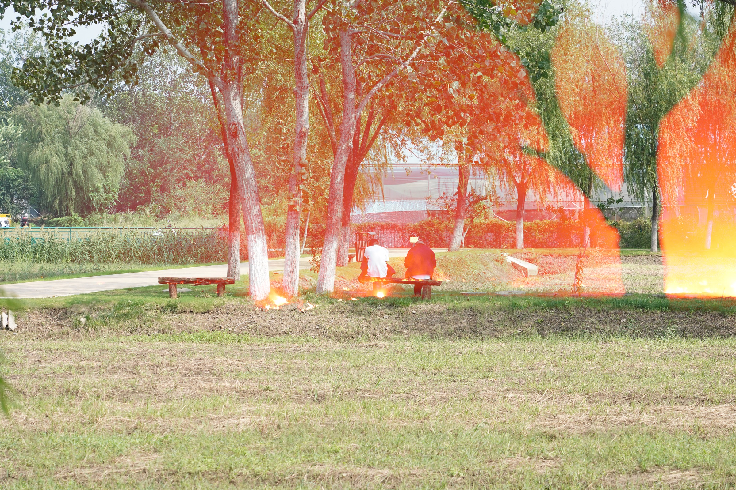 The Burning Prairie, image 3