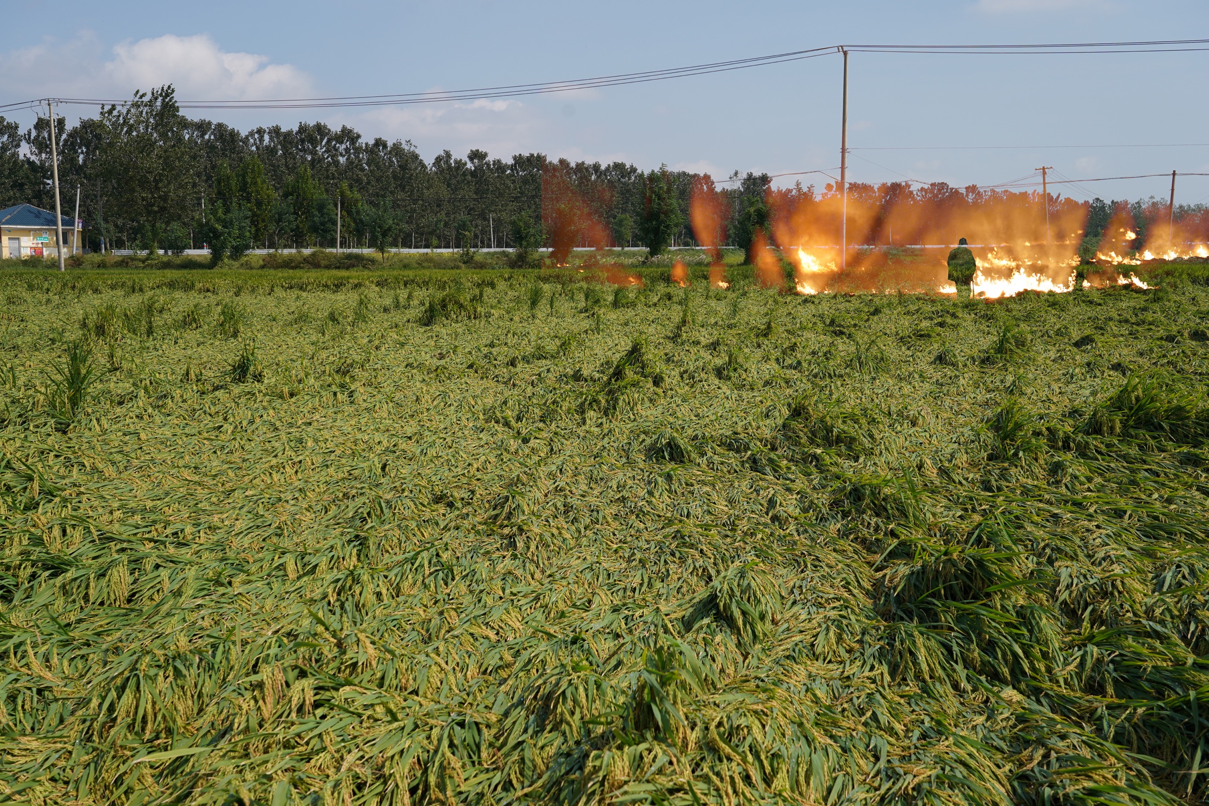 The Burning Prairie, image 6