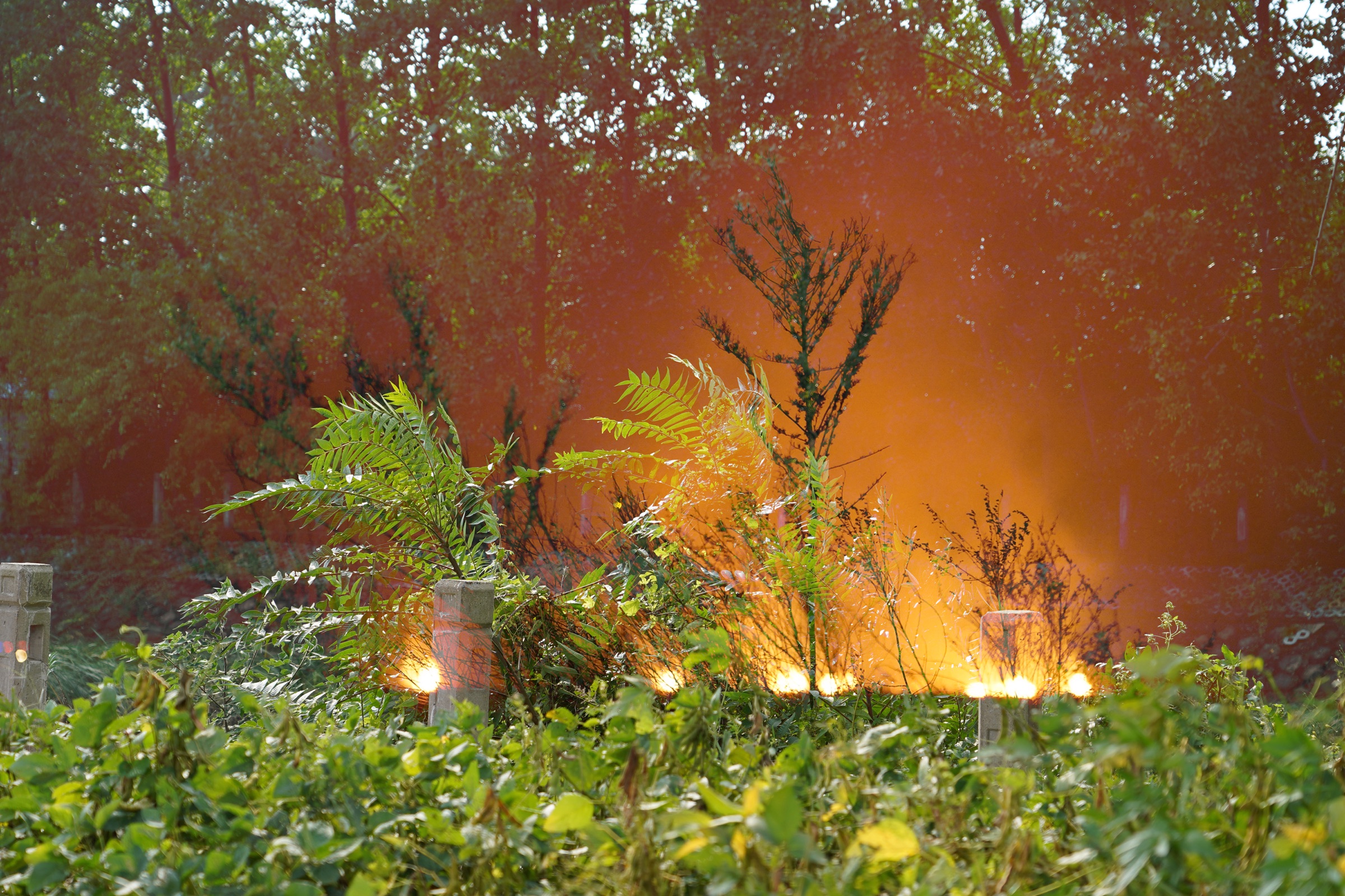 The Burning Prairie, image 13