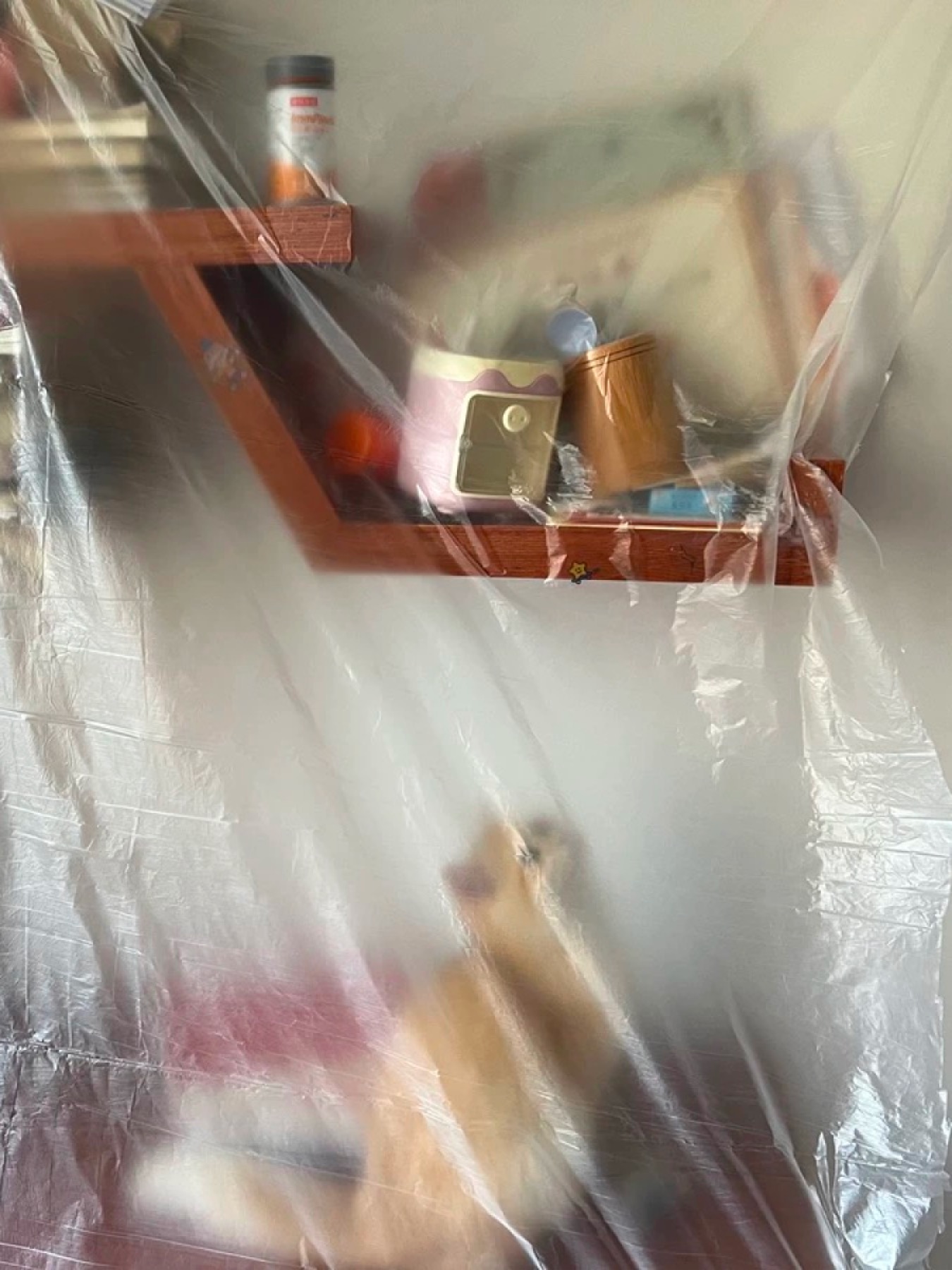 Taobao Review Photos as a Form of Typological Photography (淘宝返图作为一种类型化摄影) by Yan Jiacheng (闫家成), artwork image 9