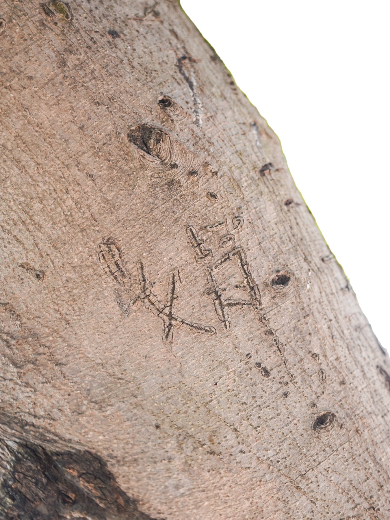 Writing in an Abandoned Factory District (废弃工厂区的字迹) by Yan Jiacheng (闫家成), artwork image 1