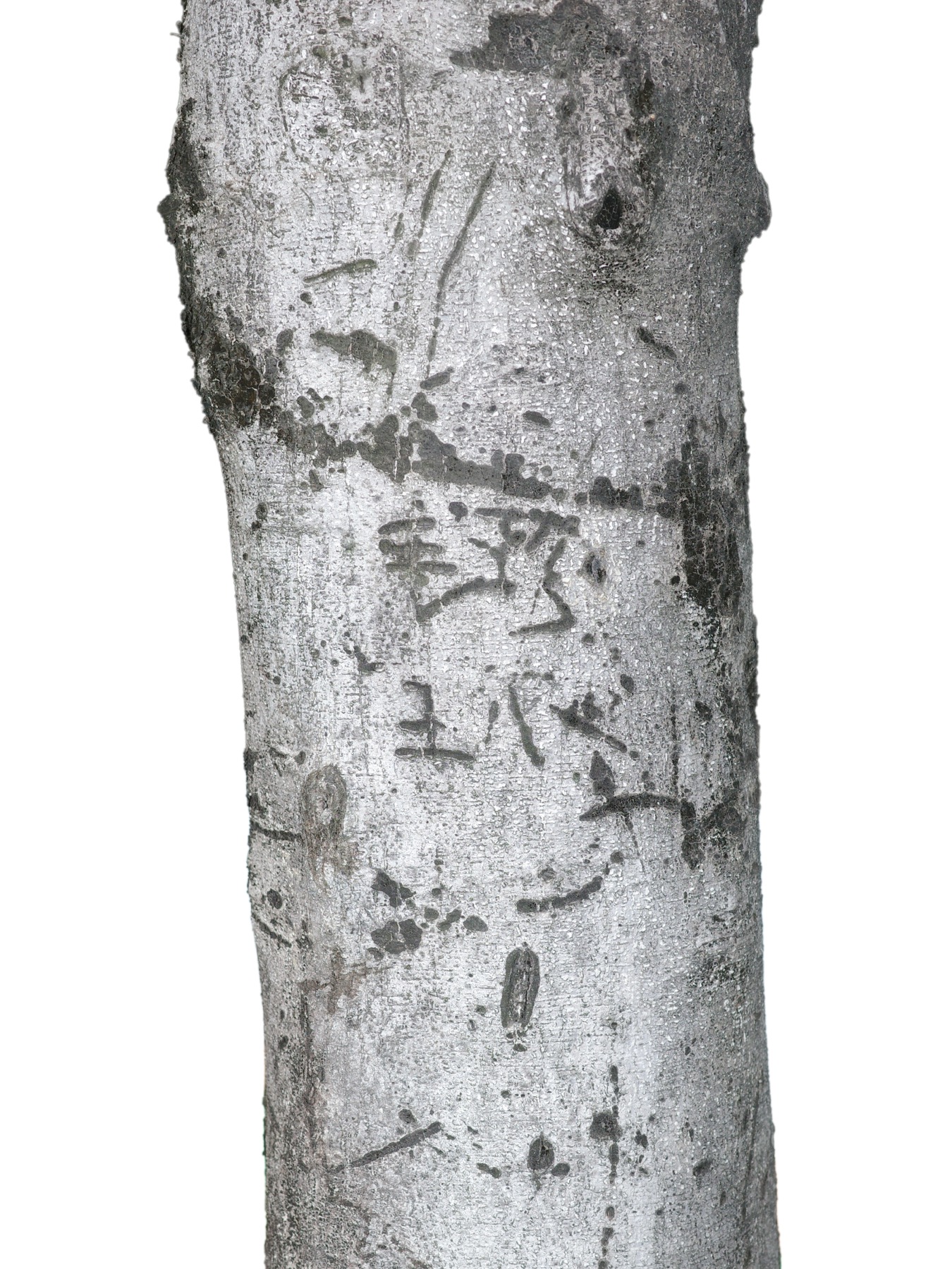 Writing in an Abandoned Factory District (废弃工厂区的字迹) by Yan Jiacheng (闫家成), artwork image 3