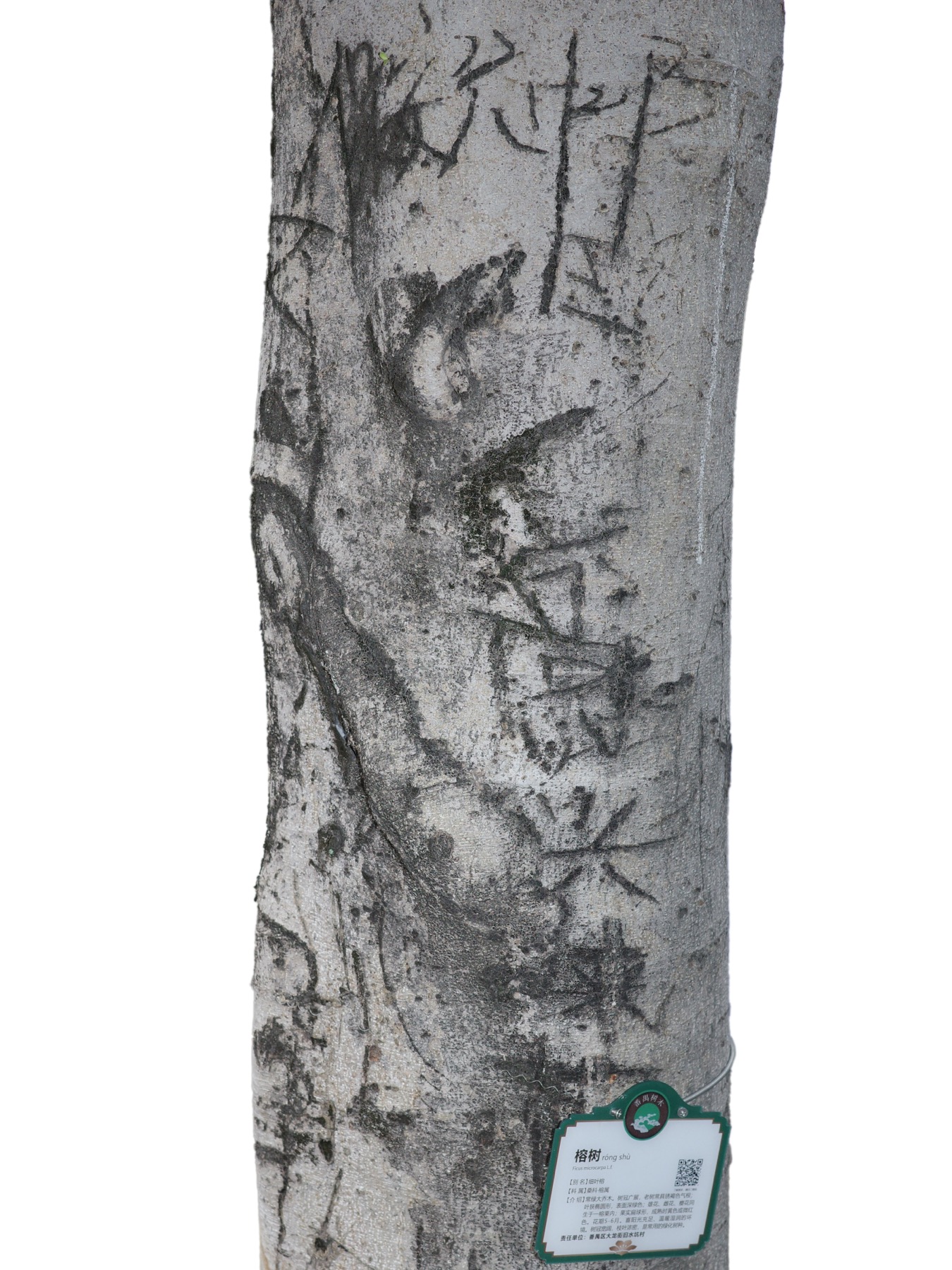 Writing in an Abandoned Factory District (废弃工厂区的字迹) by Yan Jiacheng (闫家成), artwork image 4