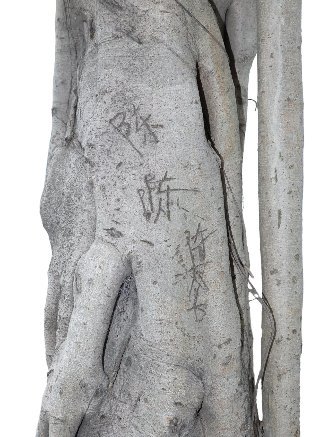 Writing in an Abandoned Factory District (废弃工厂区的字迹) by Yan Jiacheng (闫家成), artwork image 6