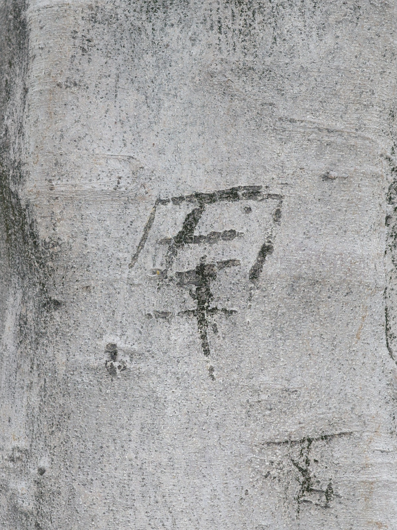 Writing in an Abandoned Factory District (废弃工厂区的字迹) by Yan Jiacheng (闫家成), artwork image 10