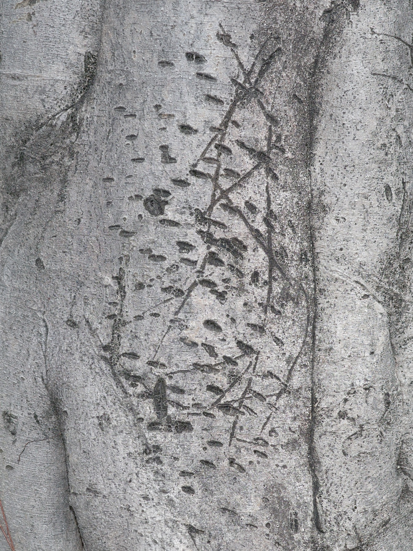 Writing in an Abandoned Factory District (废弃工厂区的字迹) by Yan Jiacheng (闫家成), artwork image 11