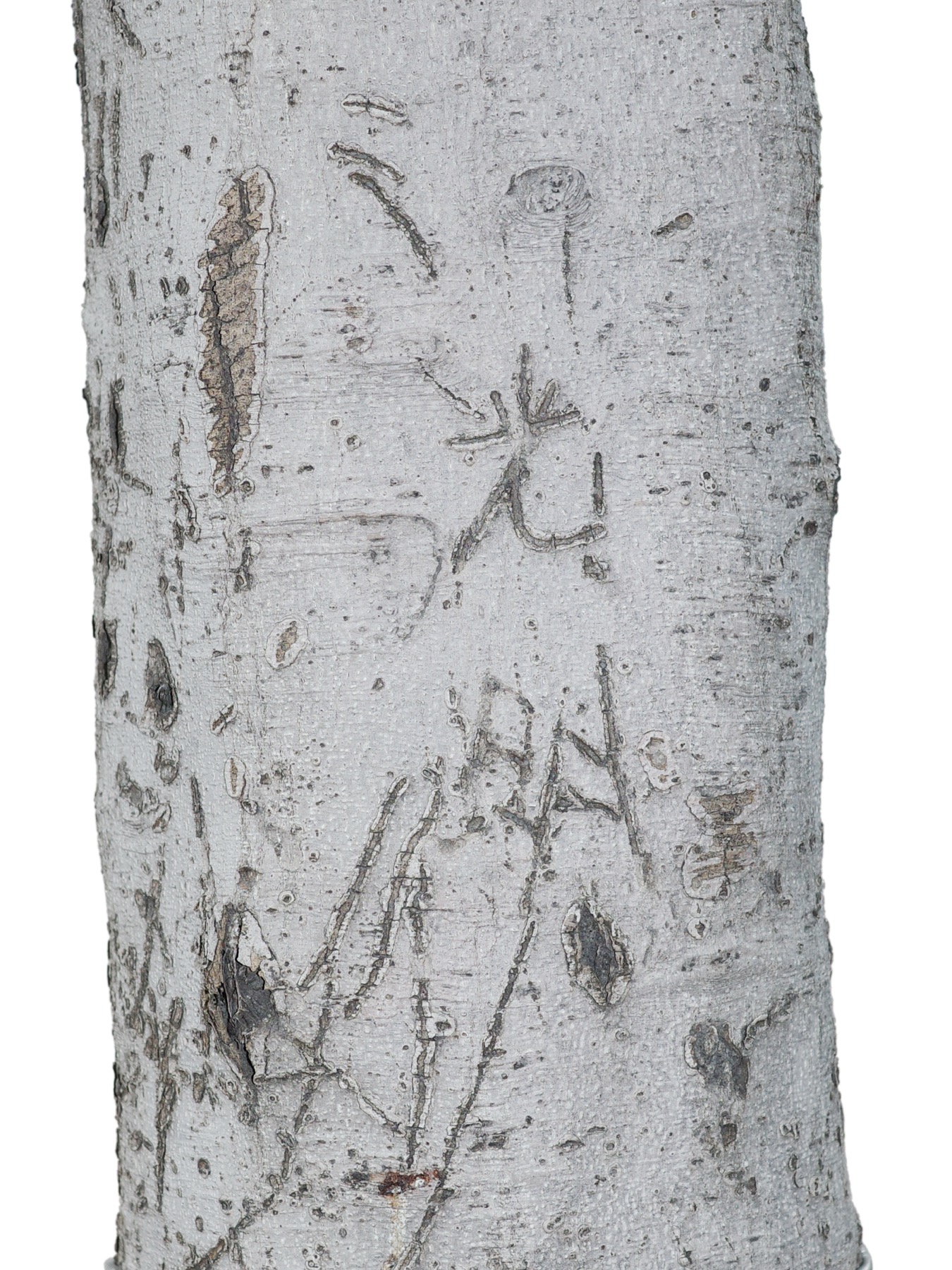 Writing in an Abandoned Factory District (废弃工厂区的字迹) by Yan Jiacheng (闫家成), artwork image 16