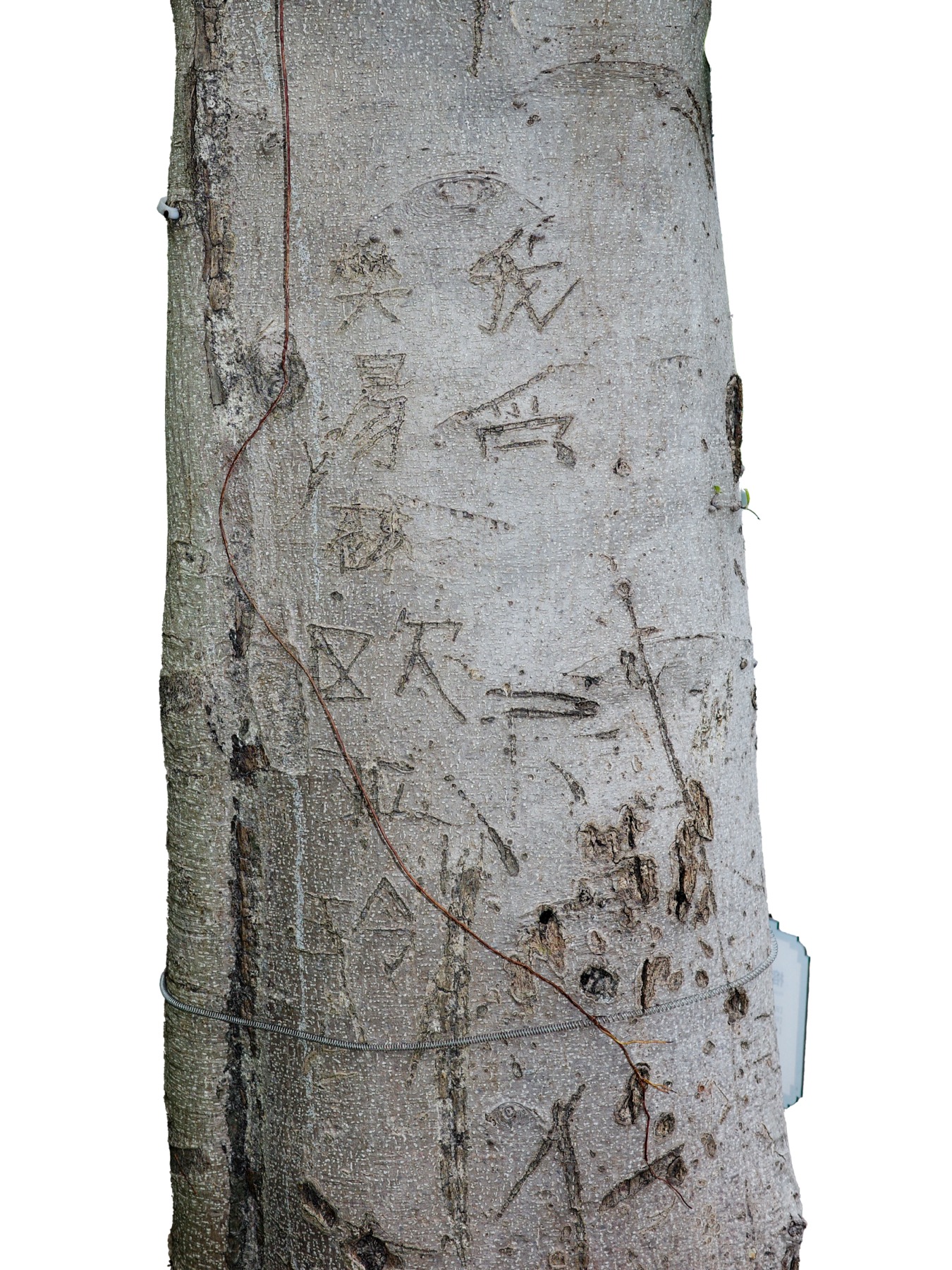 Writing in an Abandoned Factory District (废弃工厂区的字迹) by Yan Jiacheng (闫家成), artwork image 21