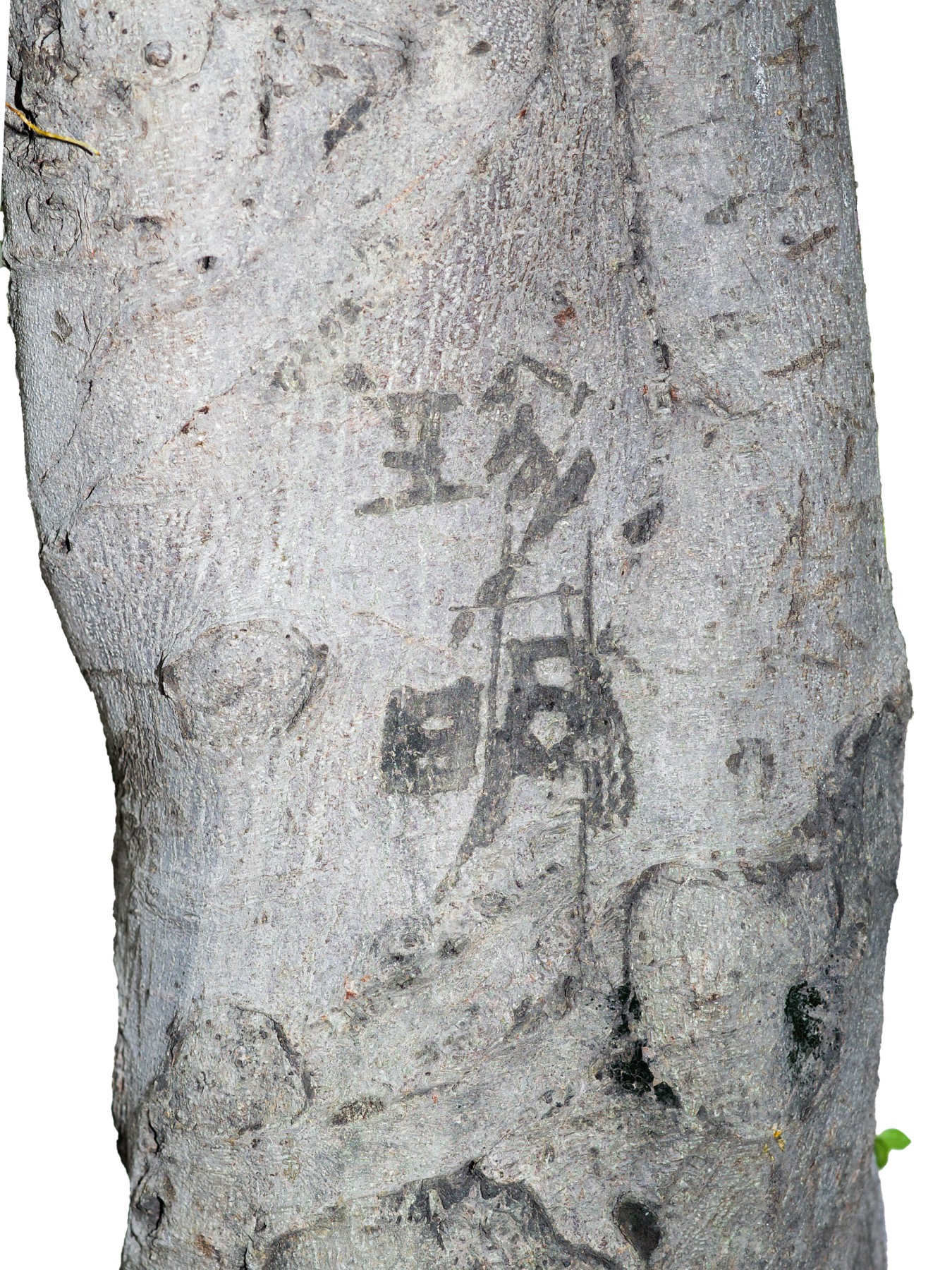 Writing in an Abandoned Factory District (废弃工厂区的字迹) by Yan Jiacheng (闫家成), artwork image 24