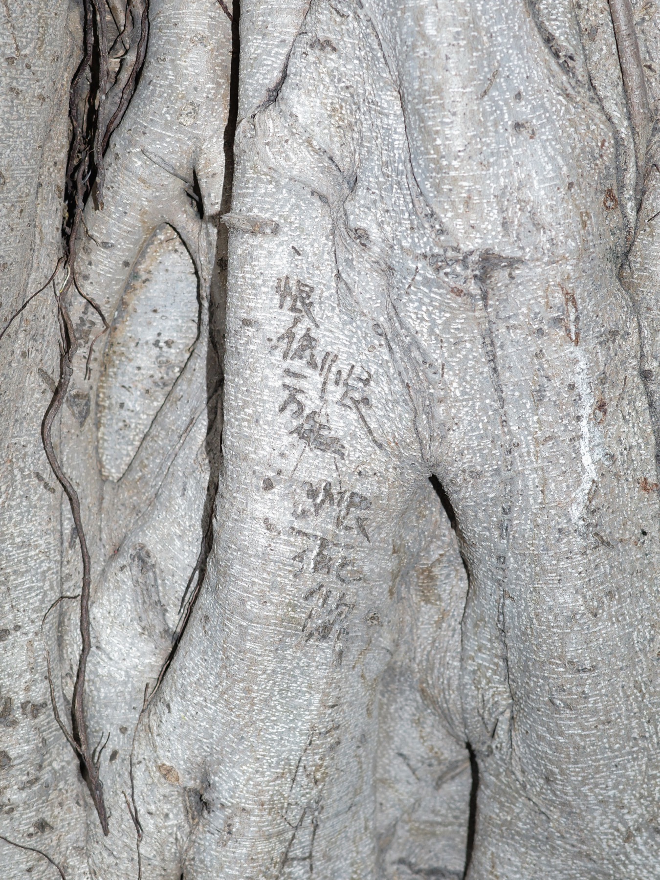 Writing in an Abandoned Factory District (废弃工厂区的字迹) by Yan Jiacheng (闫家成), artwork image 25