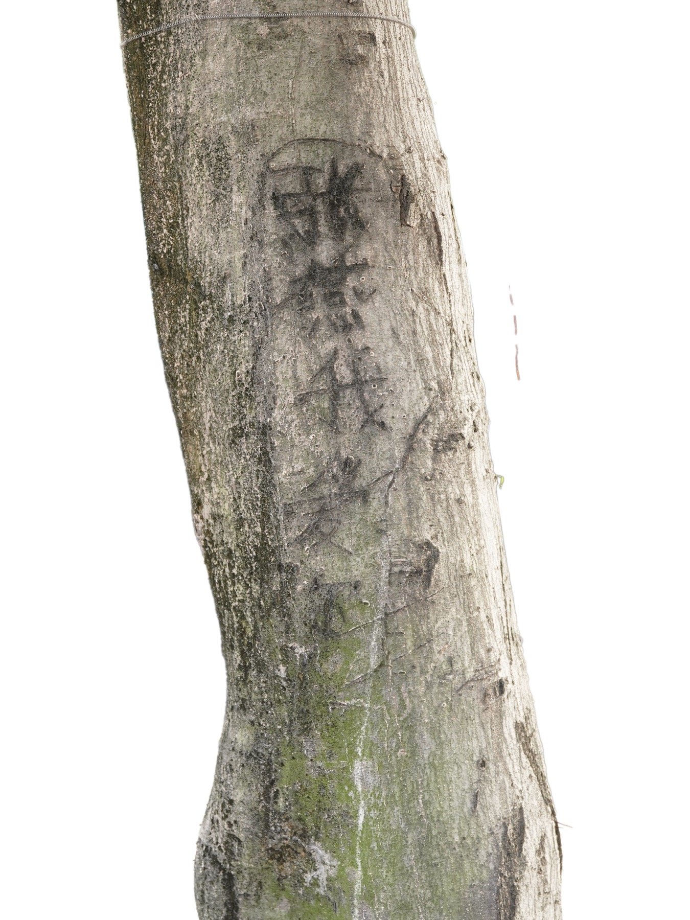 Writing in an Abandoned Factory District (废弃工厂区的字迹) by Yan Jiacheng (闫家成), artwork image 27
