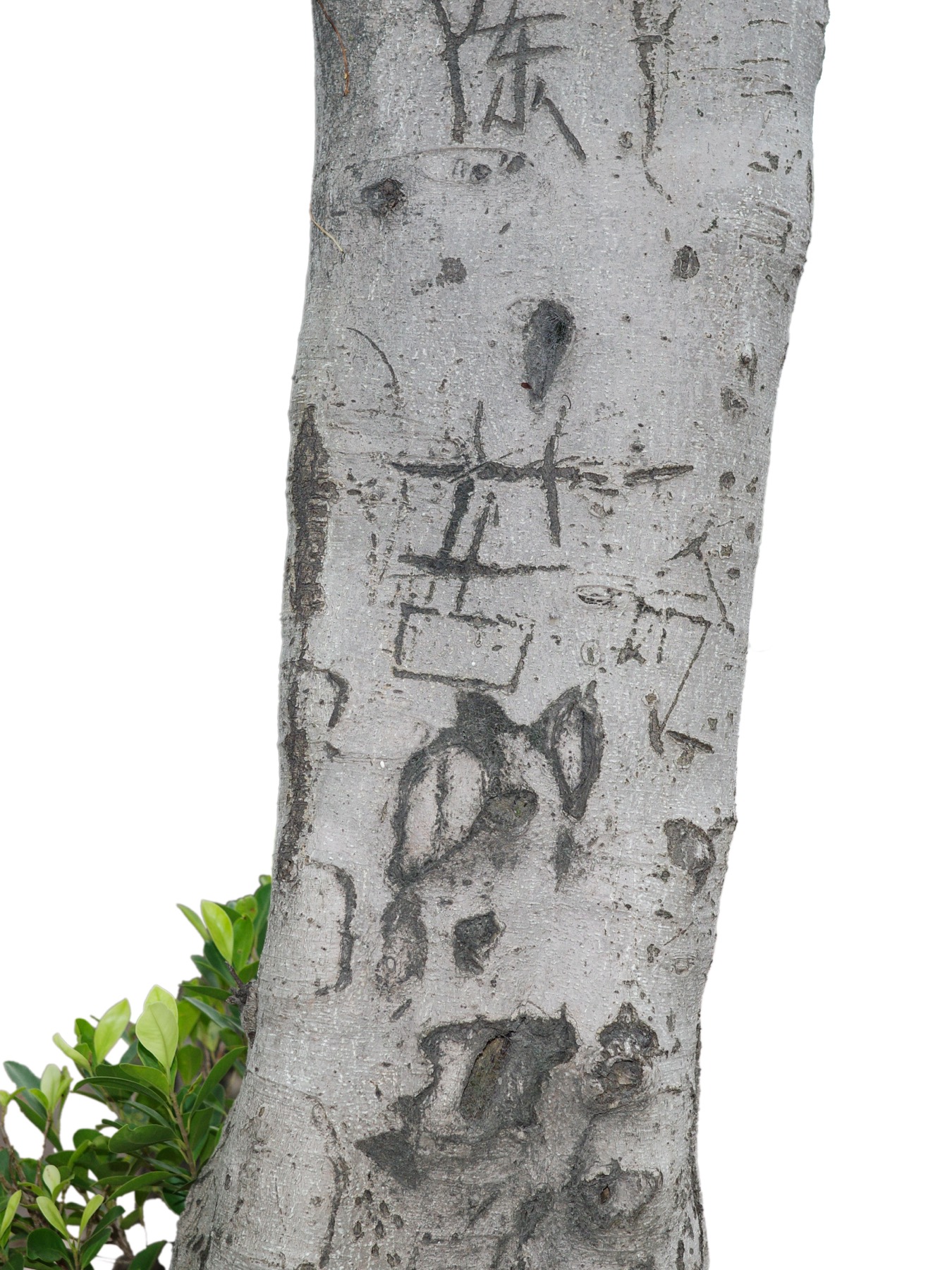 Writing in an Abandoned Factory District (废弃工厂区的字迹) by Yan Jiacheng (闫家成), artwork image 29