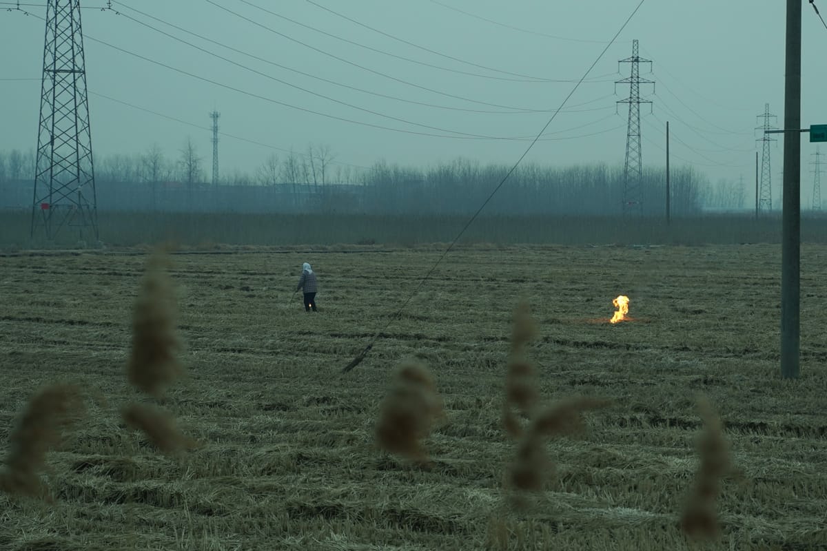 Set a Fire and Leave, image 2
