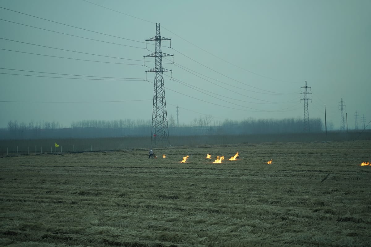 Set a Fire and Leave, image 3