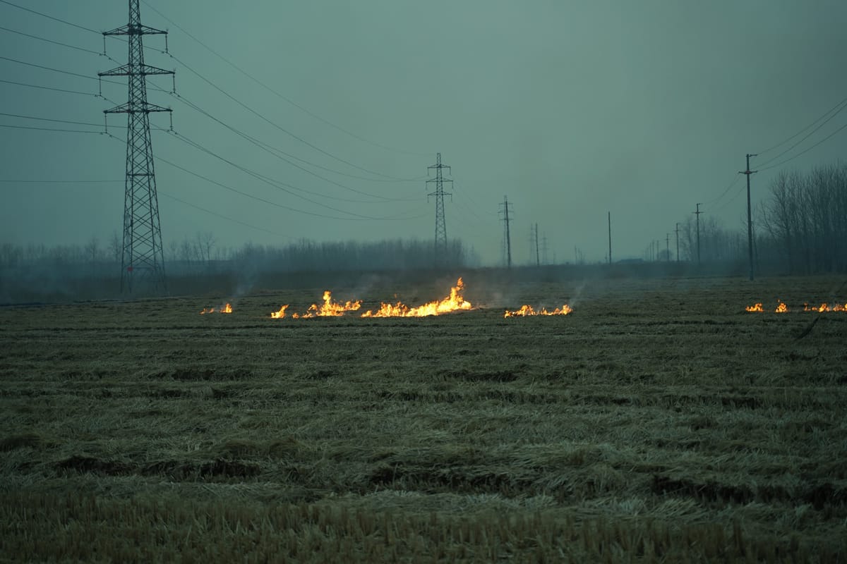 Set a Fire and Leave, image 4