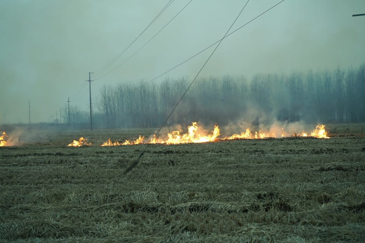 Set a Fire and Leave, image 5