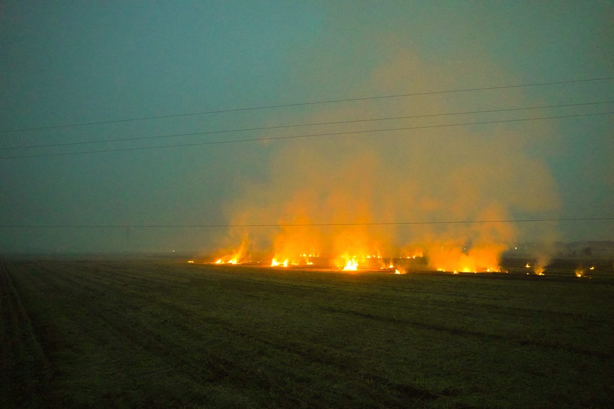 Set a Fire and Leave, image 6