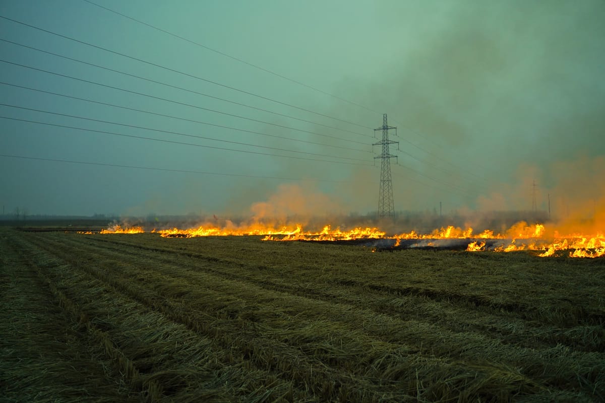Set a Fire and Leave, image 7