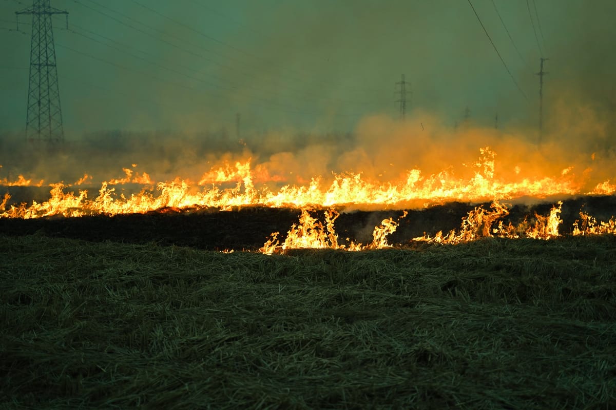 Set a Fire and Leave, image 8